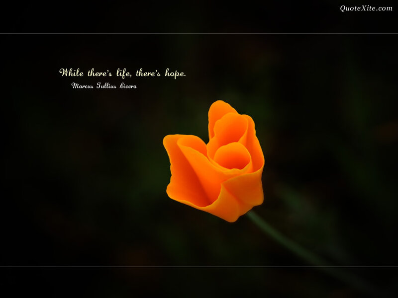 Orange Flower