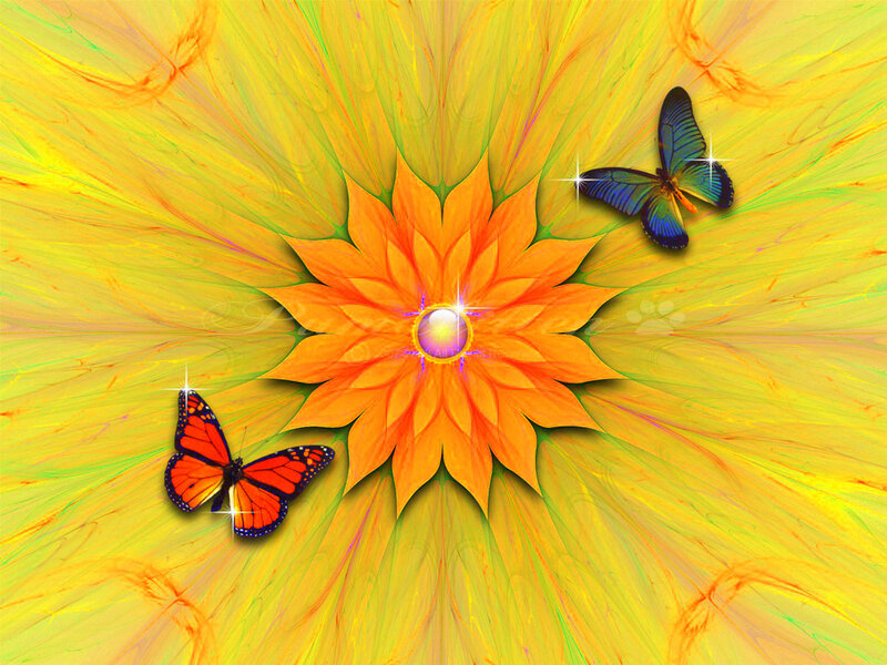 Orange Flower with Butterflies