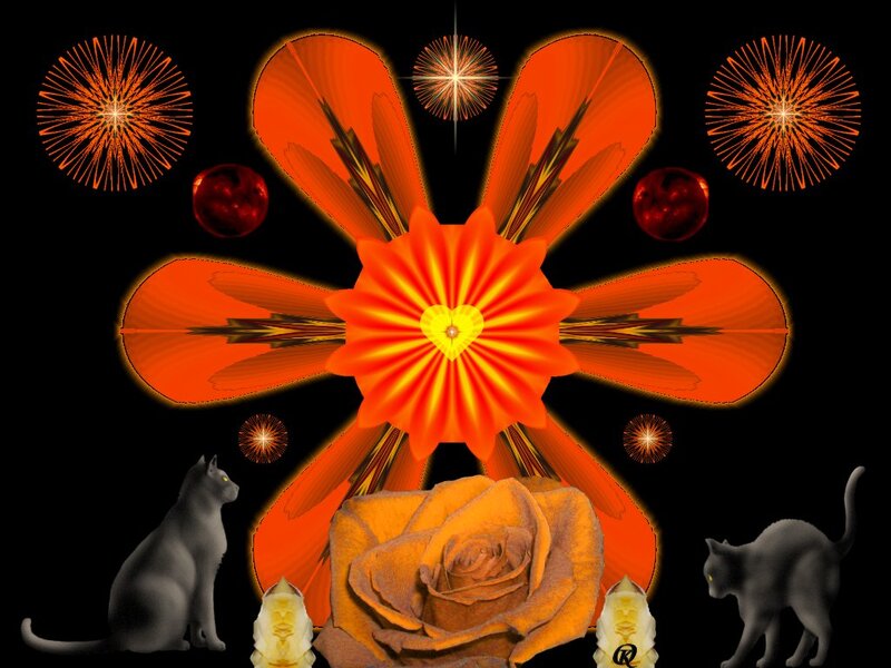Orange Flower with Cats — Black