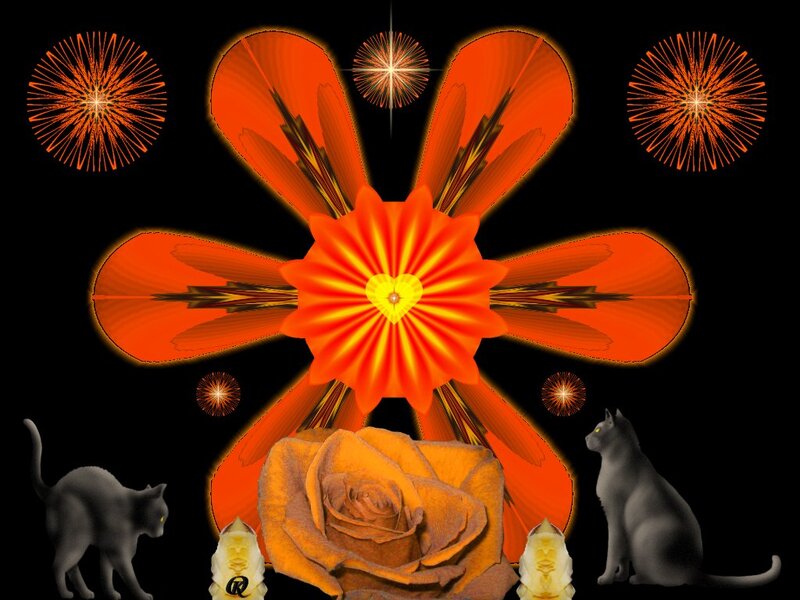 Orange Flower with Cats