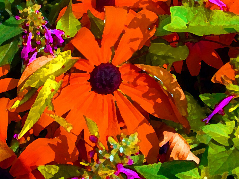 Orange Flower with Purple Center — Vibrant