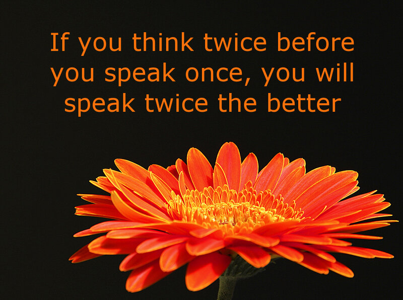 orange flower with quote