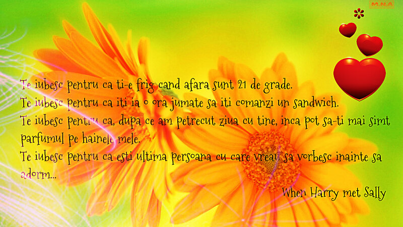 Orange Flower with Text