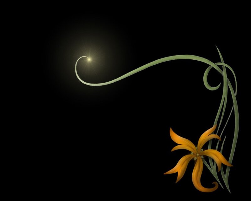 Orange Flower with Vine