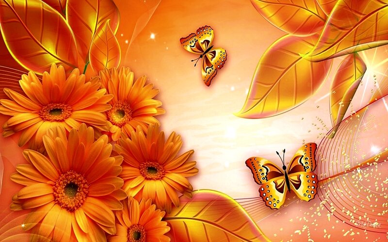 Orange Flowers and Butterflies