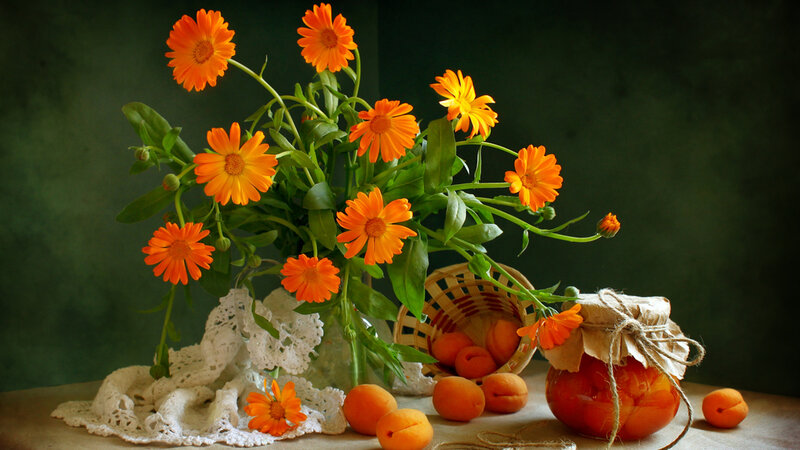 Orange Flowers and Fruit — Calm