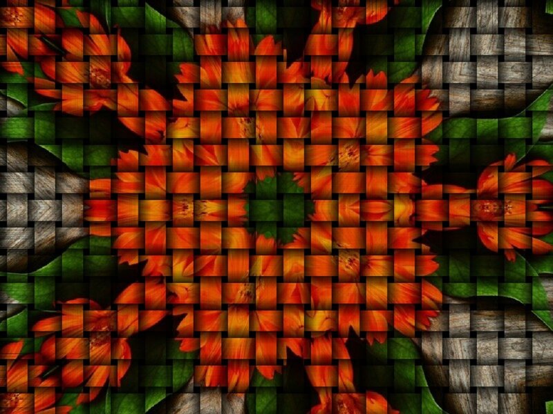 Orange Flowers and Green Leaves — Vibrant