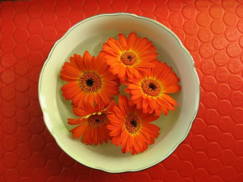 orange flowers in a bowl