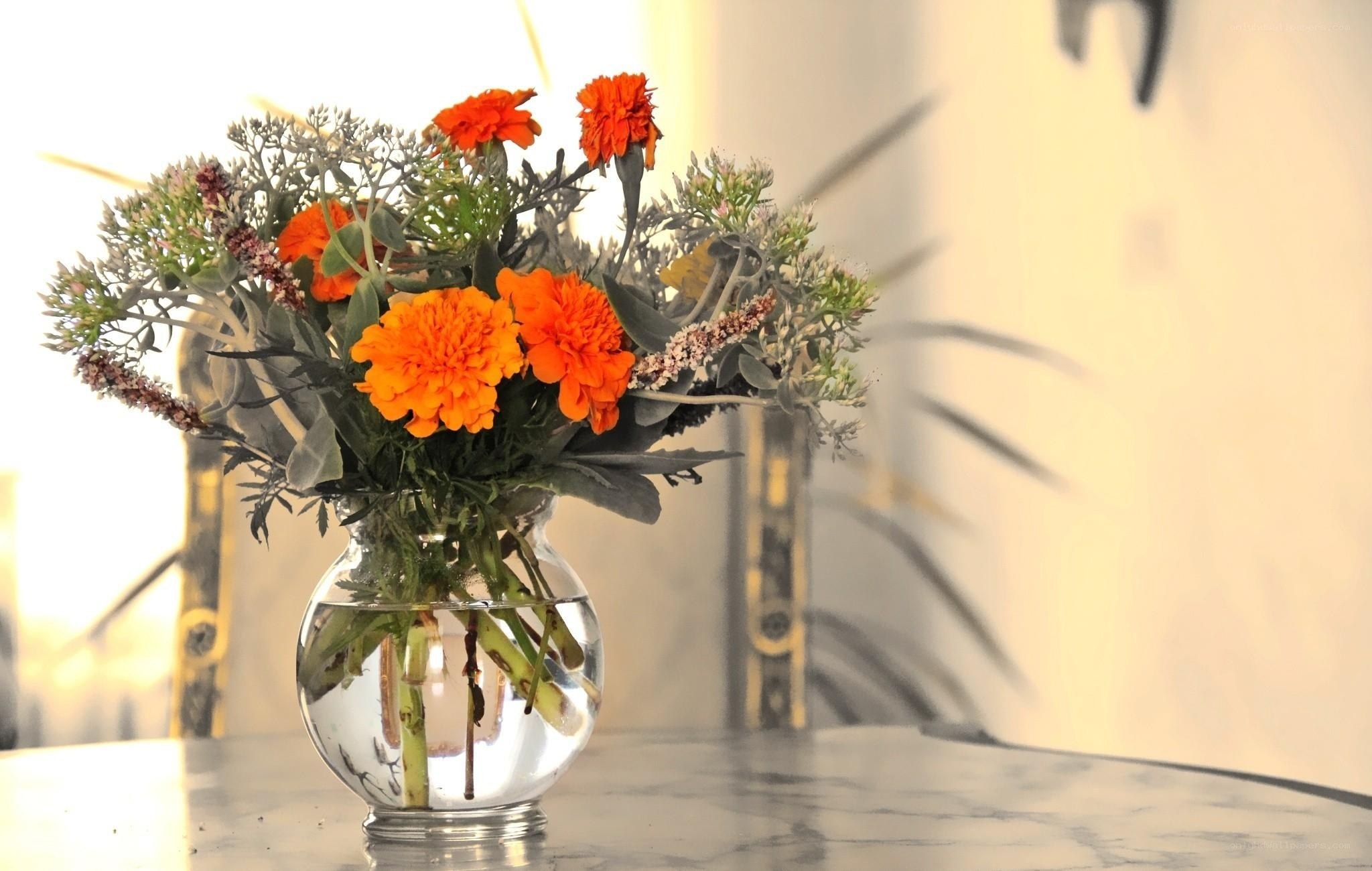 Orange flowers in a glass vase