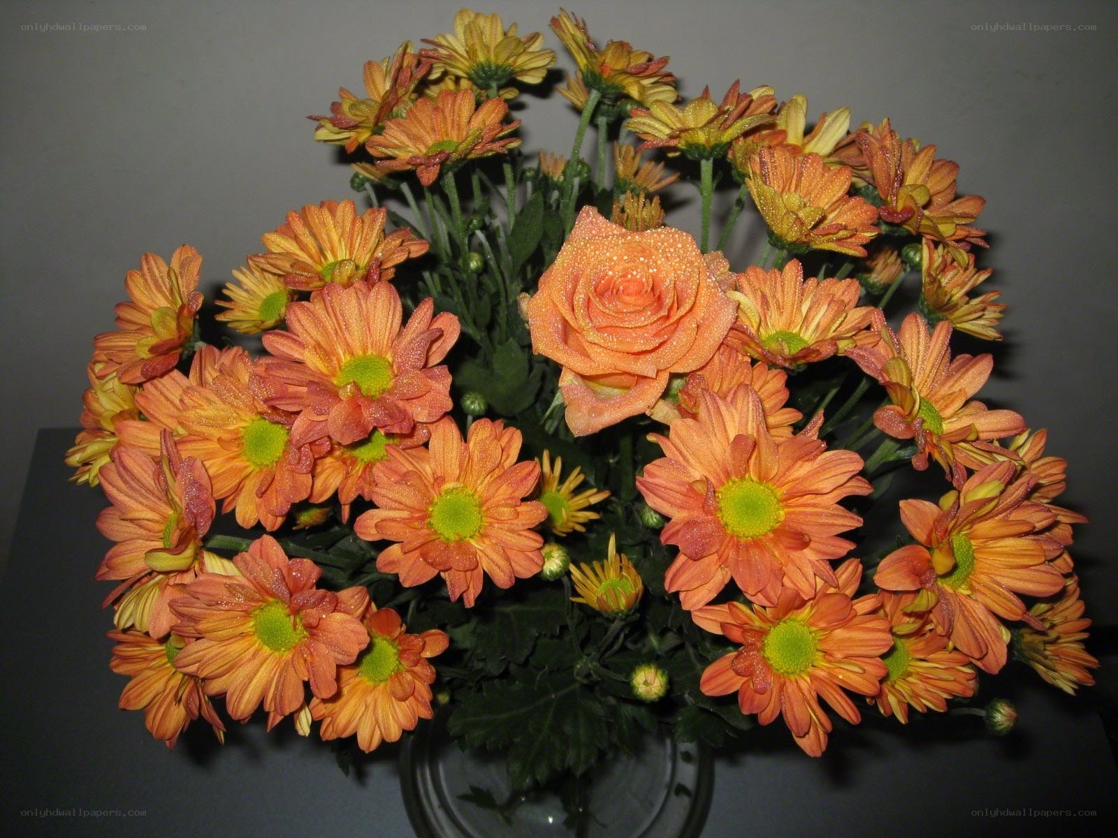 Orange flowers in a vase