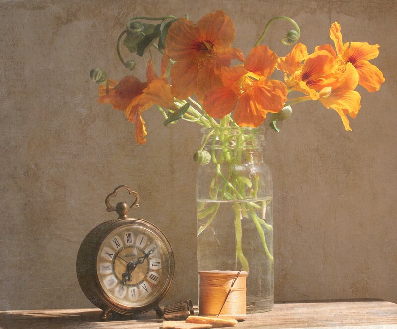 Orange Flowers in a Vase — Calm