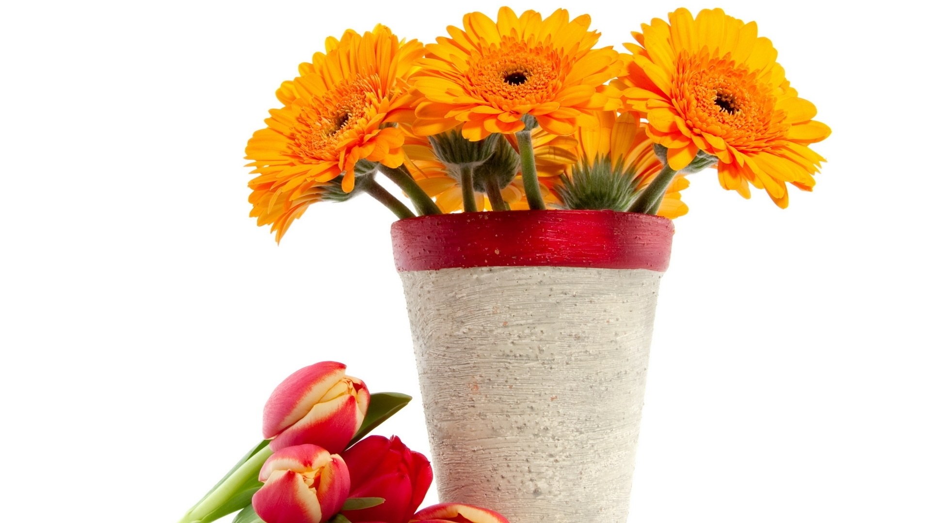 Orange flowers in a vase