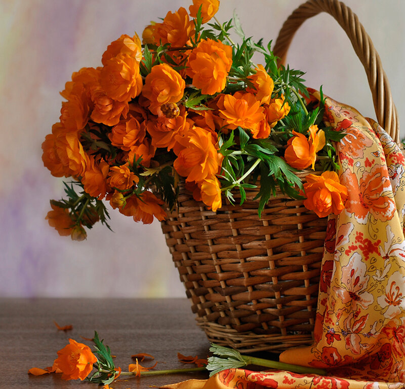 Orange Flowers in Basket — Calm