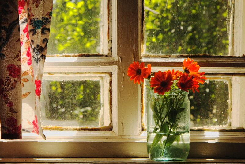 Orange Flowers in Jar