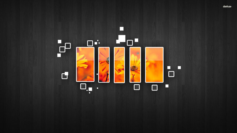 Orange Flowers in Panels