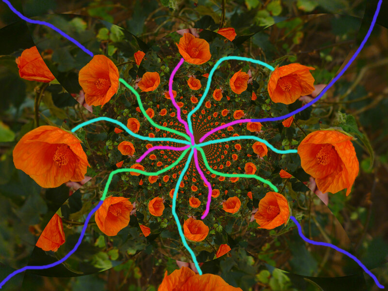 Orange Flowers in Spiral