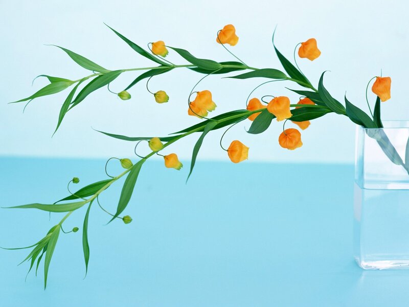 Orange Flowers in Vase — Blue, Serene