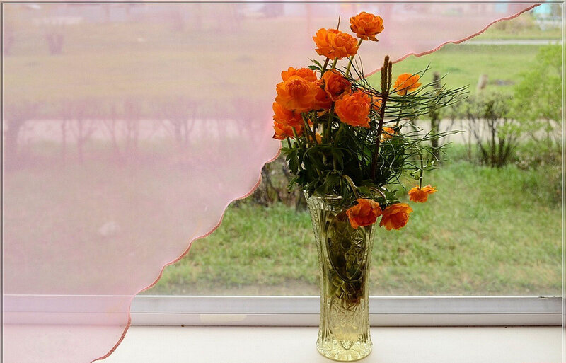 Orange Flowers in Vase — Calm, Spring
