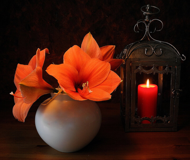 Orange Flowers in Vase — Dramatic, Night, Photograph