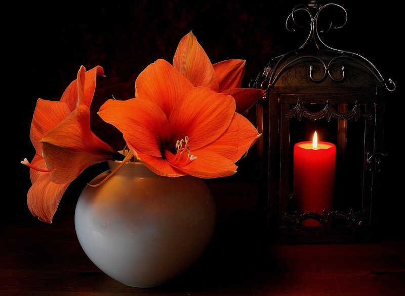 Orange Flowers in Vase — Dramatic, Night