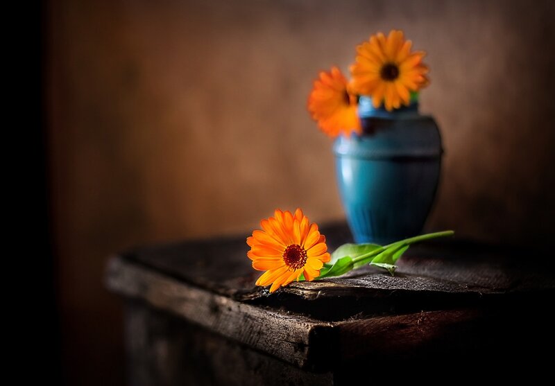 Orange Flowers in Vase — Dramatic, Photograph