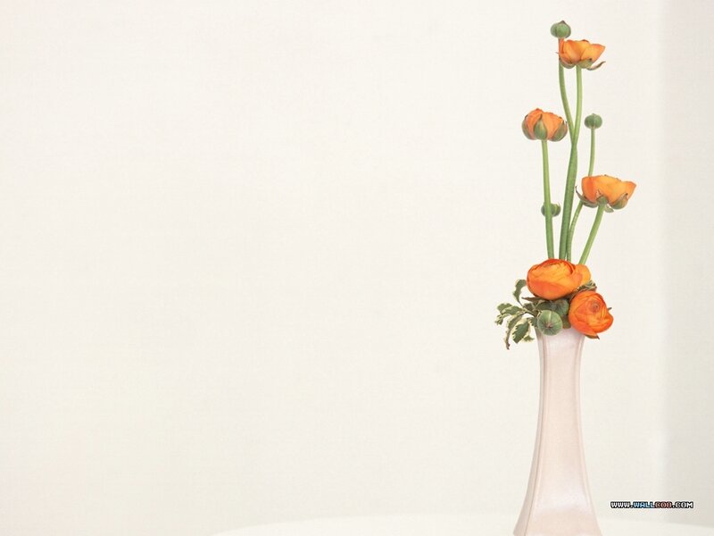 Orange Flowers in Vase — White