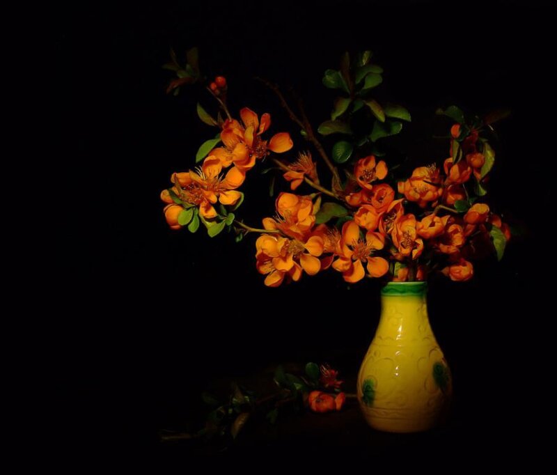 Orange Flowers in Vase — Yellow