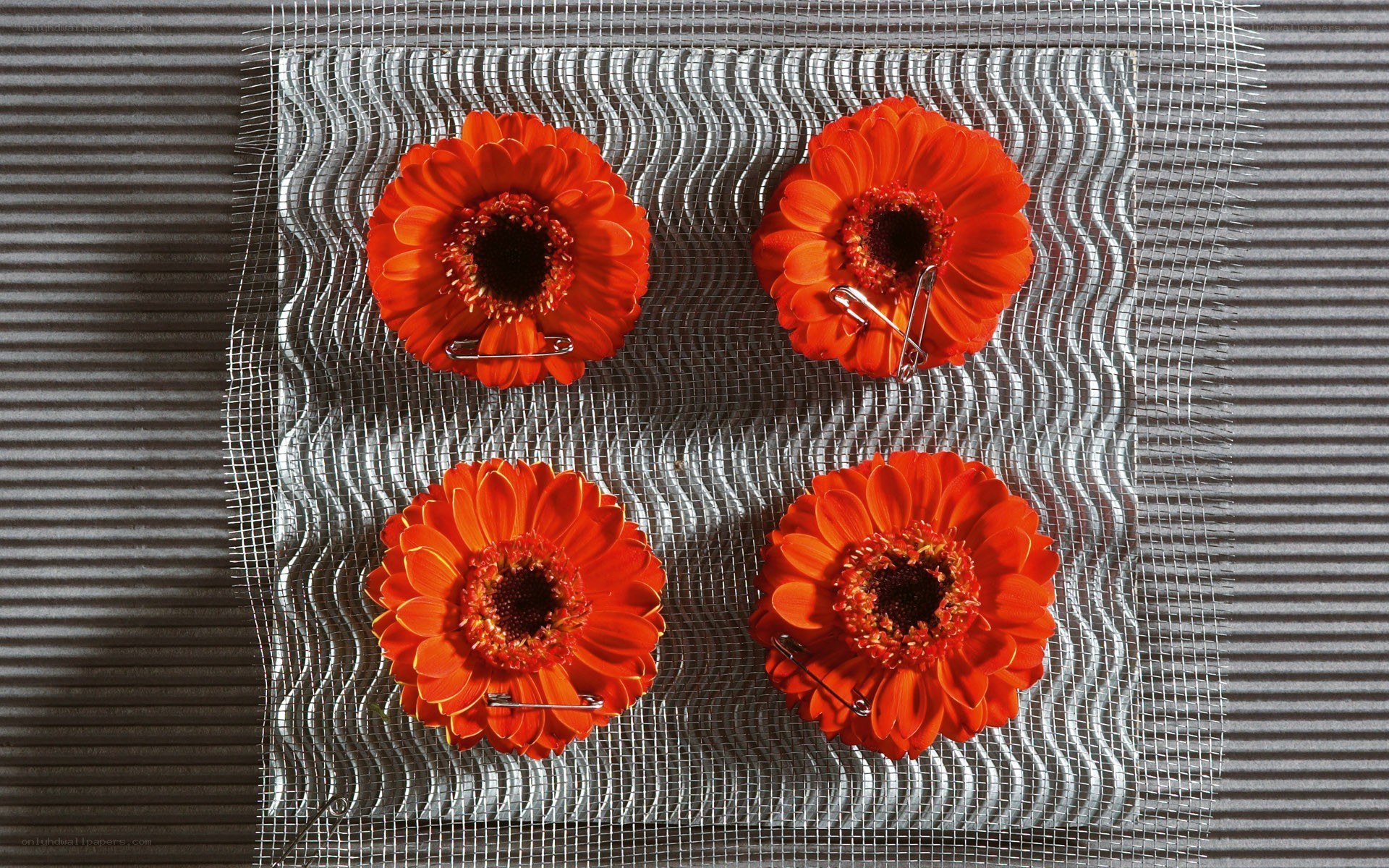 Orange flowers on mesh fabric