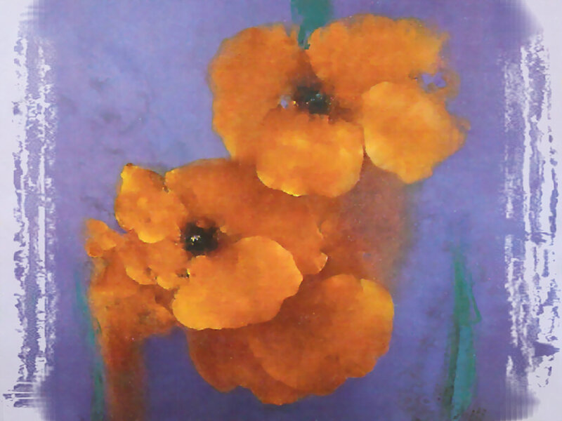 Orange Flowers on Purple