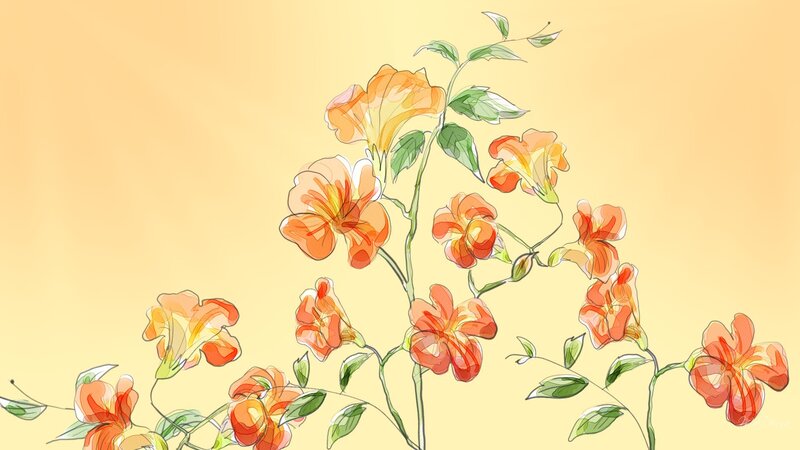 Orange Flowers on Vines