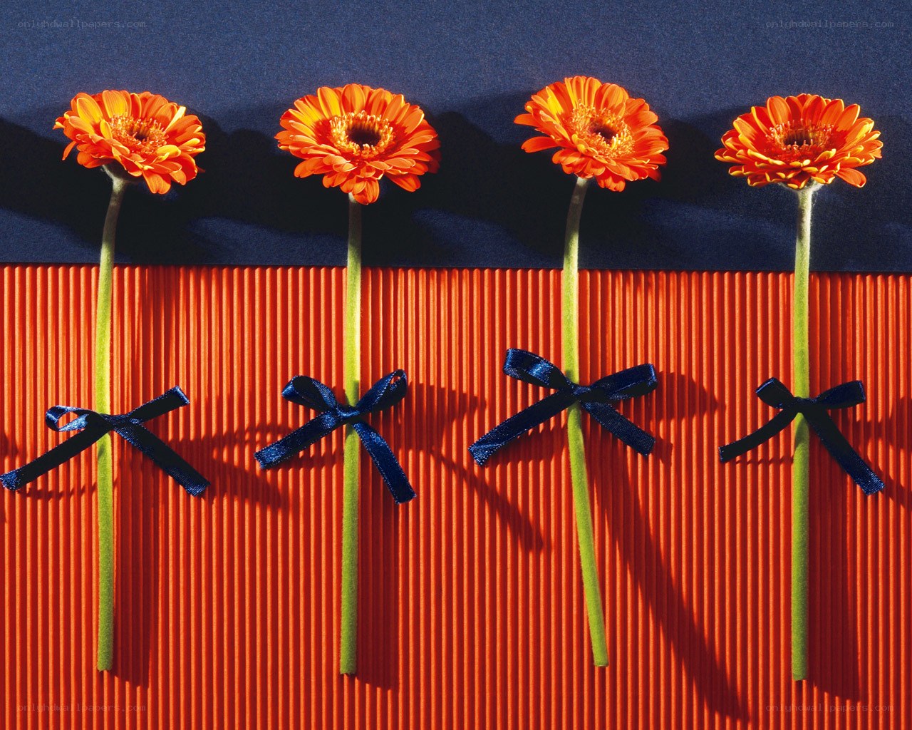 Orange flowers with blue bows