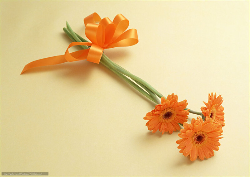 orange flowers with ribbon