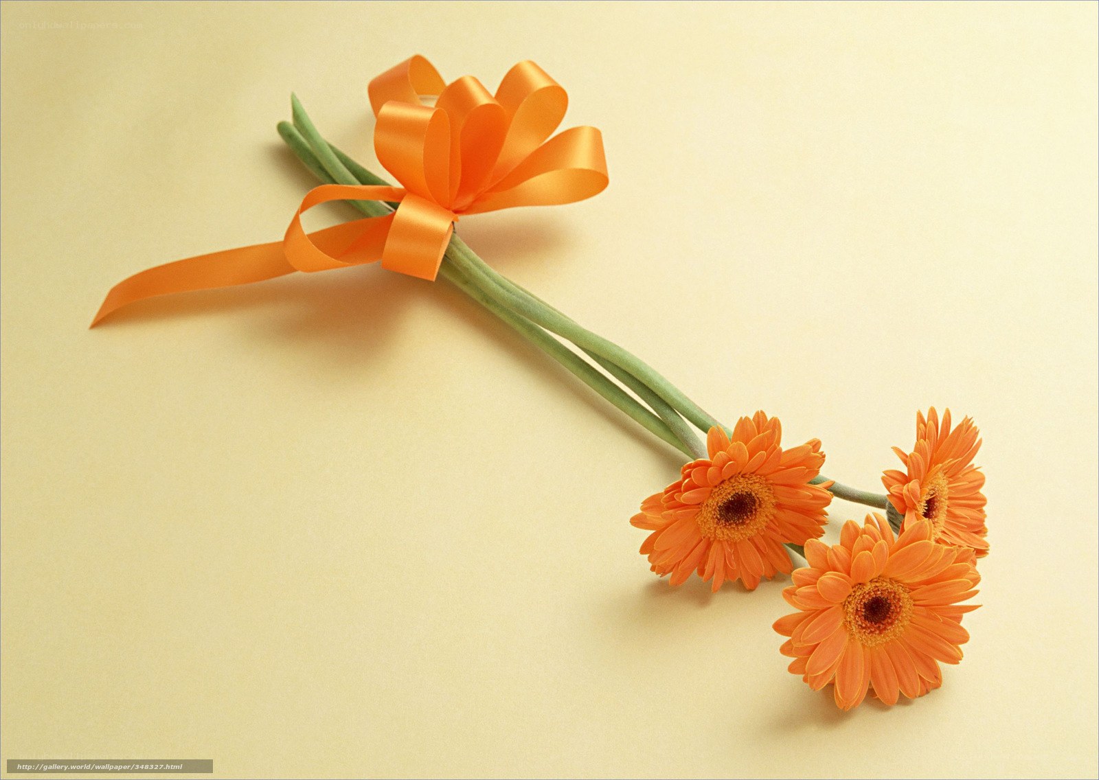 orange flowers with ribbon