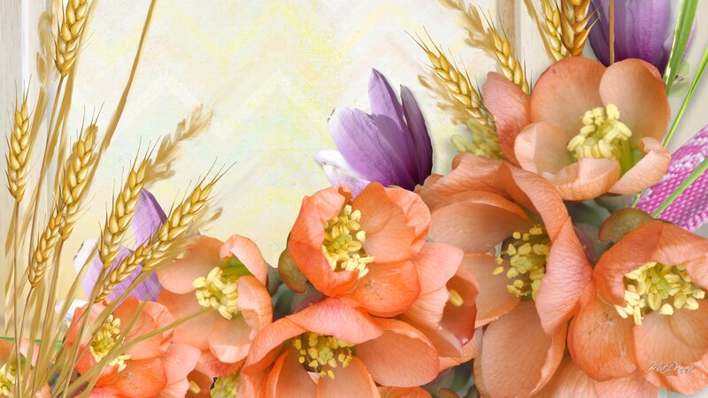 Orange Flowers with Wheat