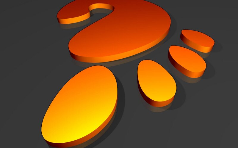 orange foot print logo