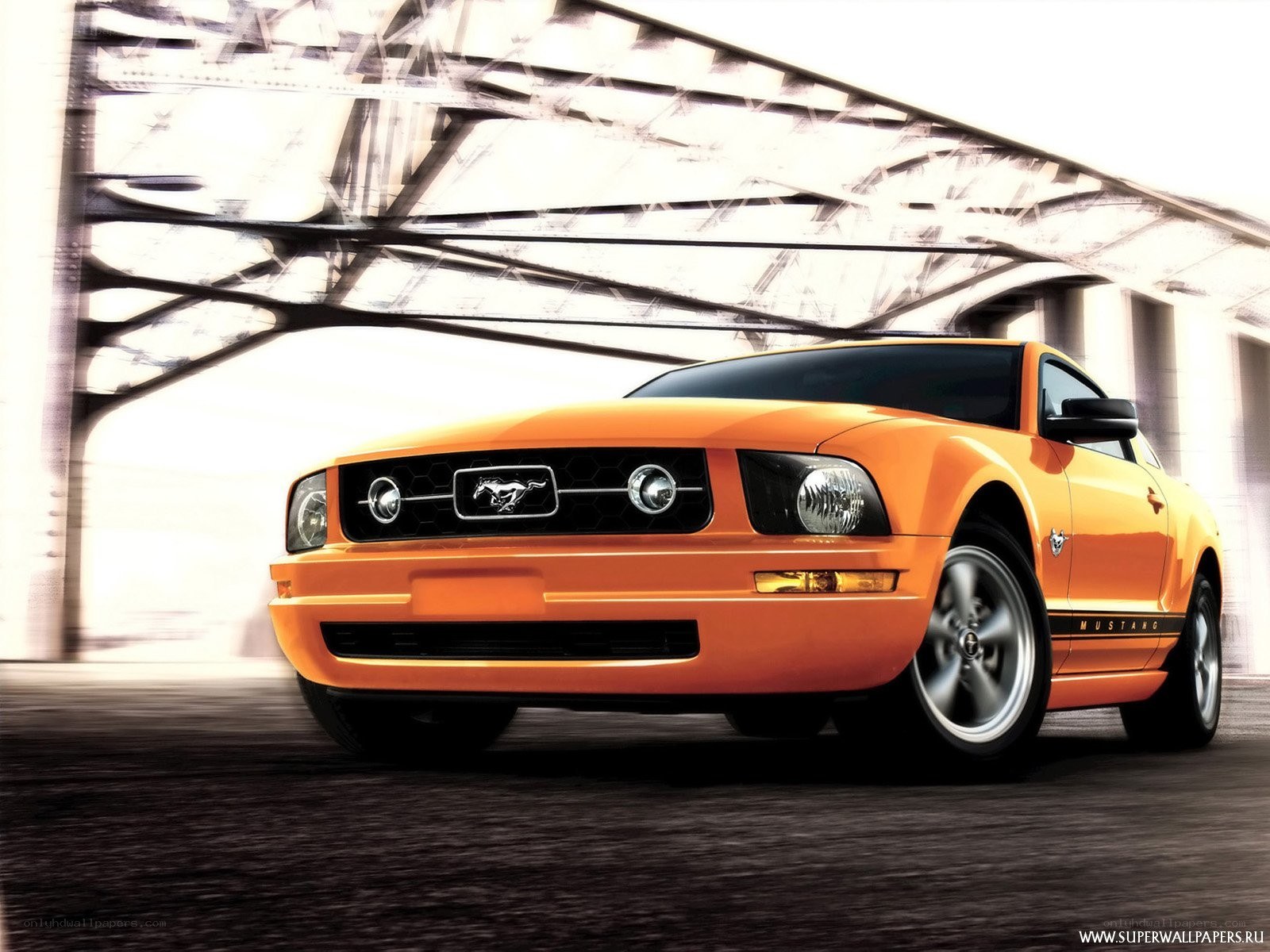 Orange Ford Mustang car