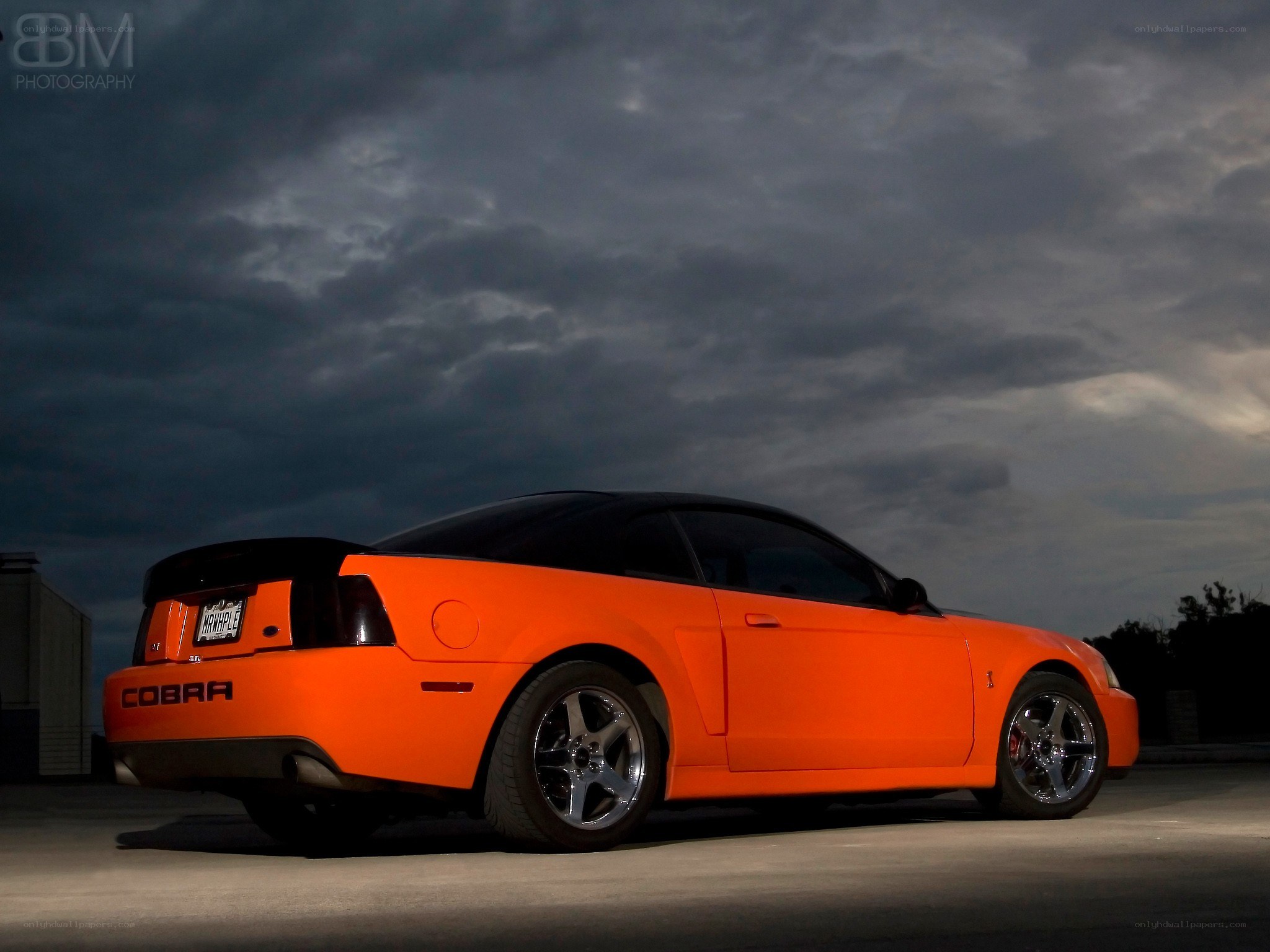 Orange Ford Mustang Cobra