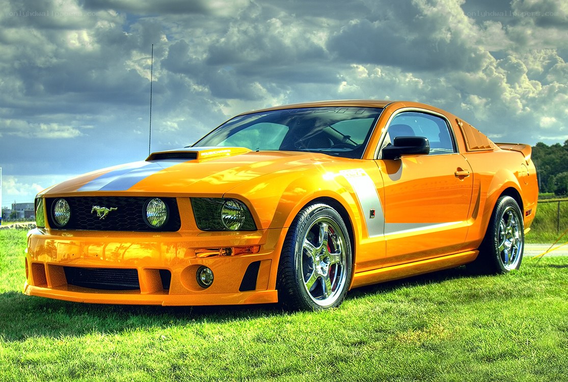Orange Ford Mustang on grass
