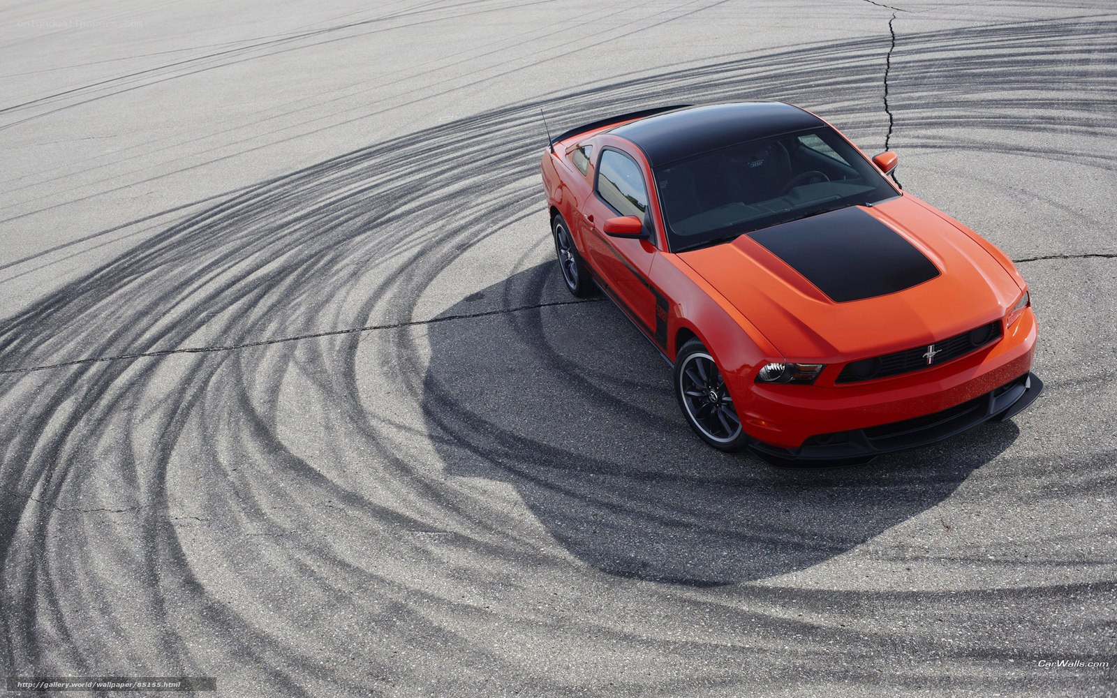 Orange Ford Mustang on track
