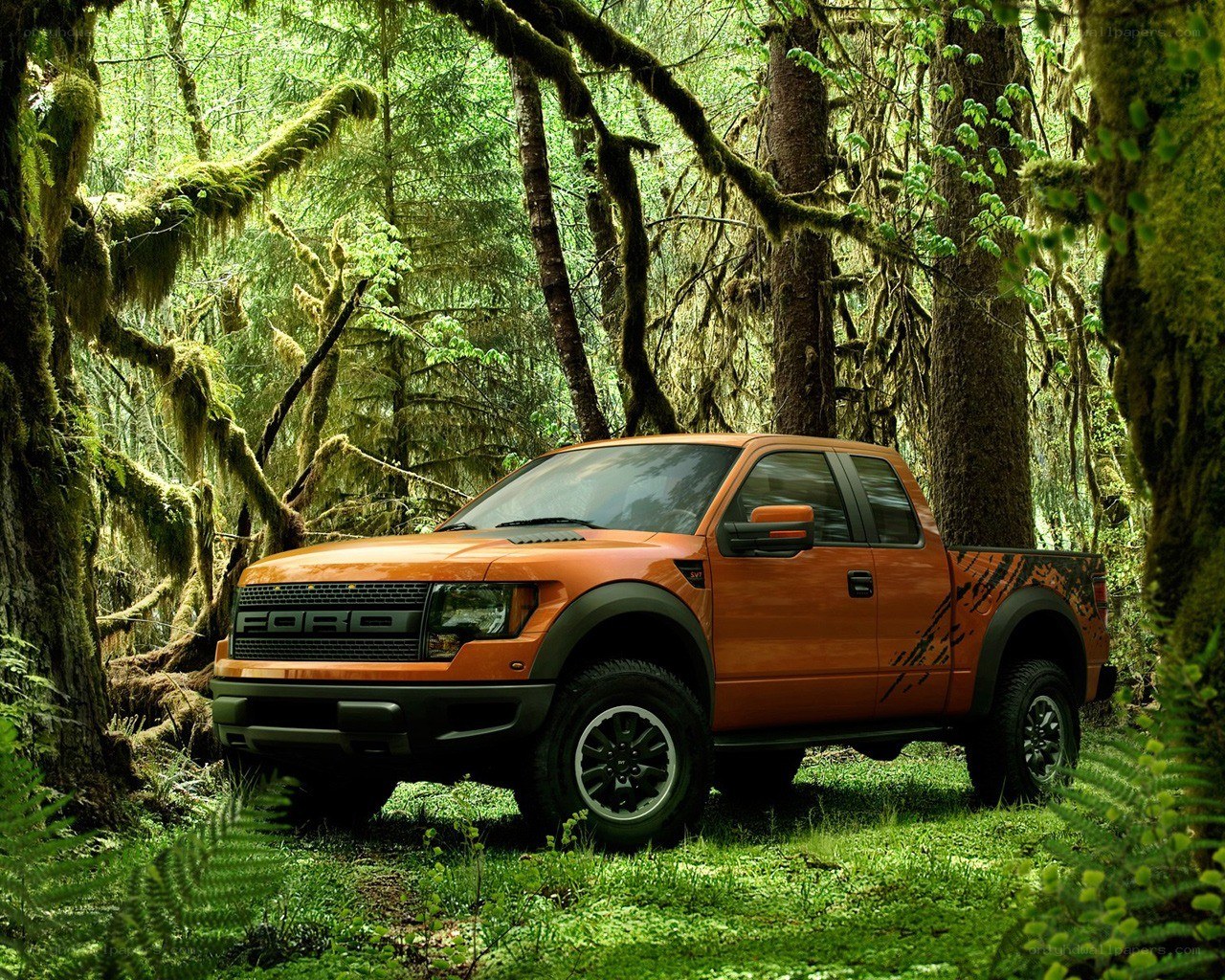 Orange Ford Raptor in forest