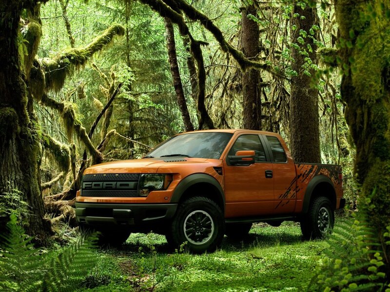 Orange Ford Raptor in forest