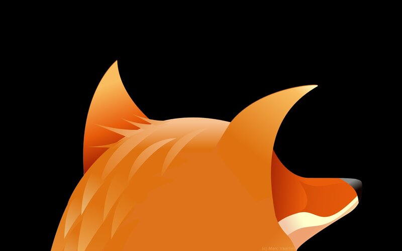 orange fox head profile