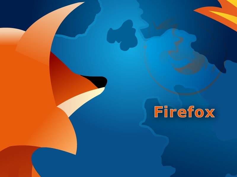 Orange Fox Head