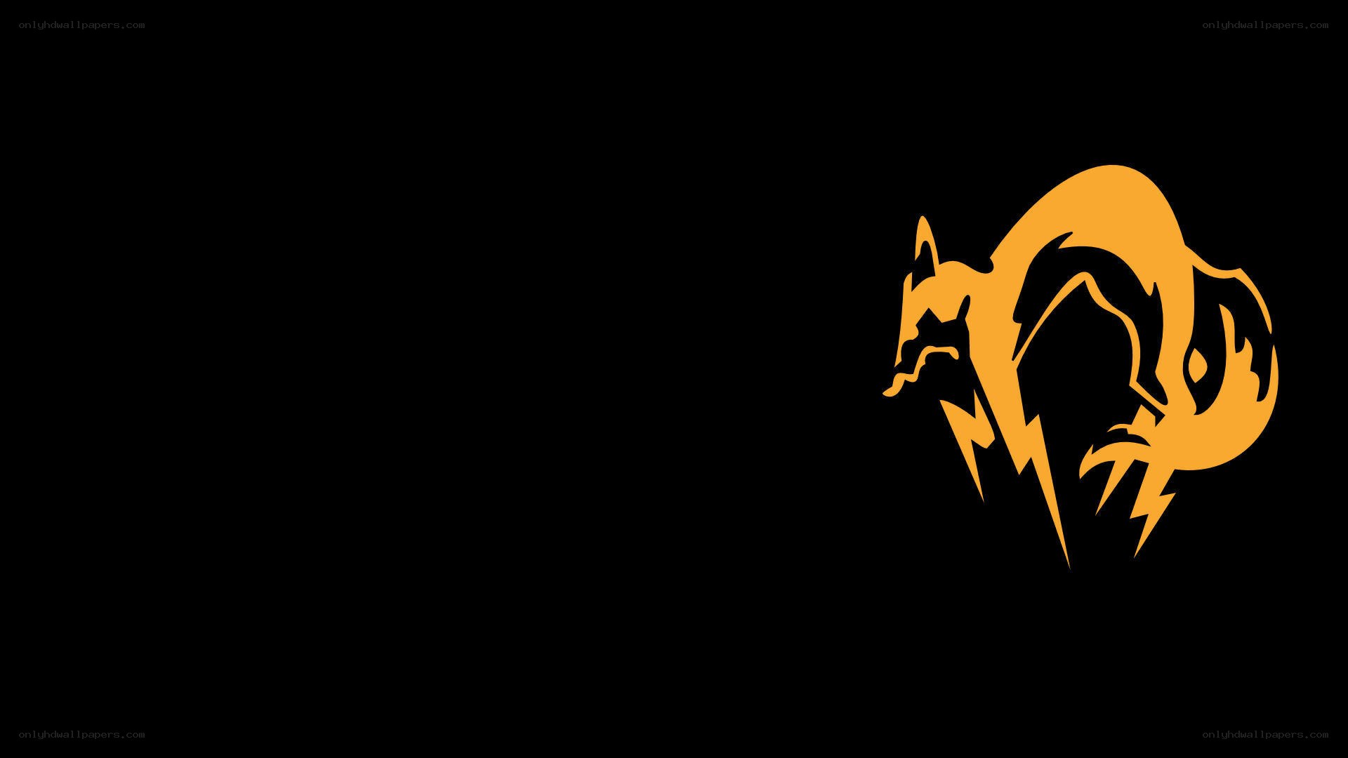 orange fox logo on black