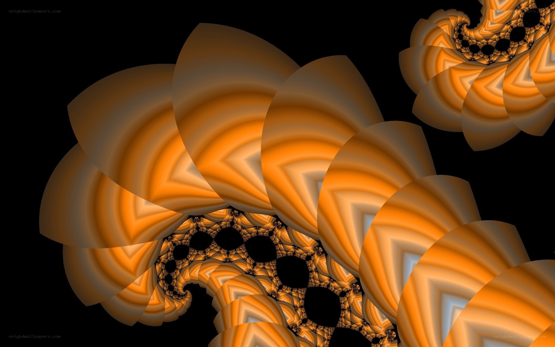 orange fractal spiral pattern
