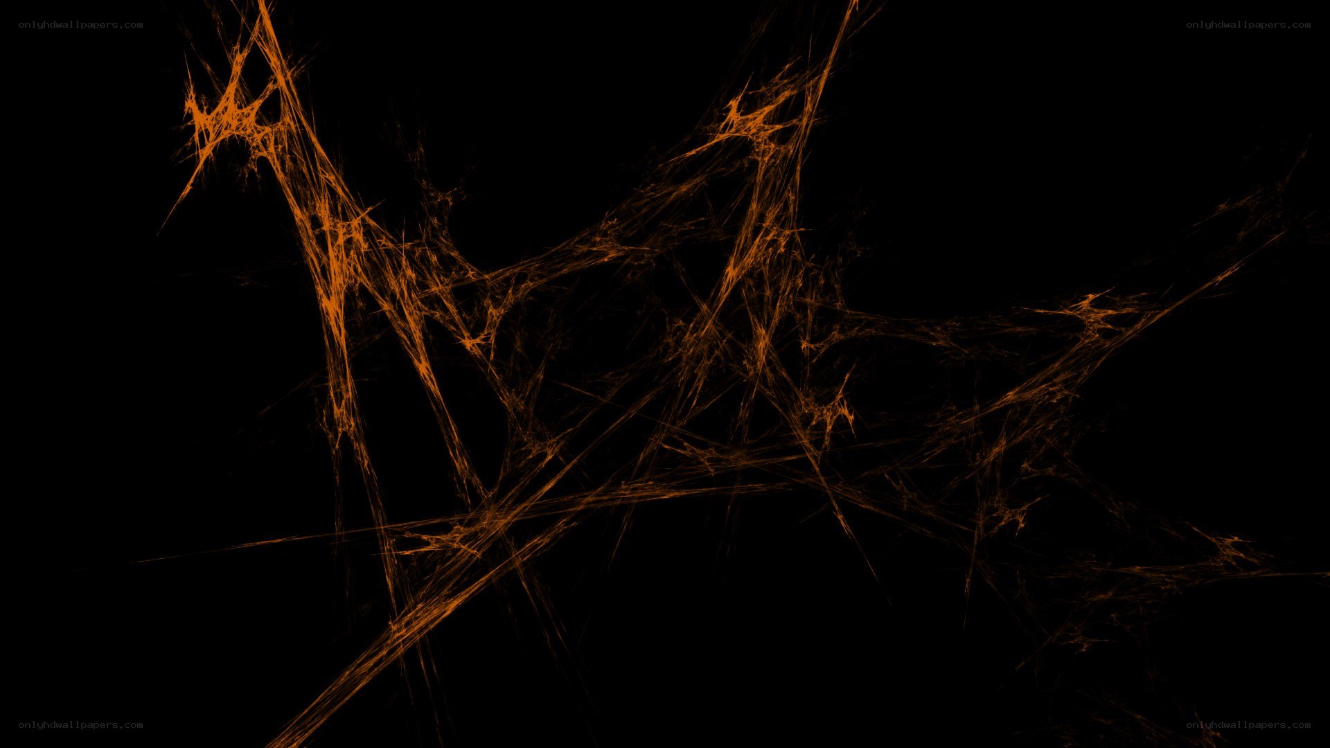 orange fractal web pattern