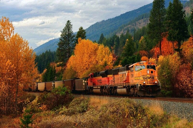 Orange Freight Train — Serene, Autumn
