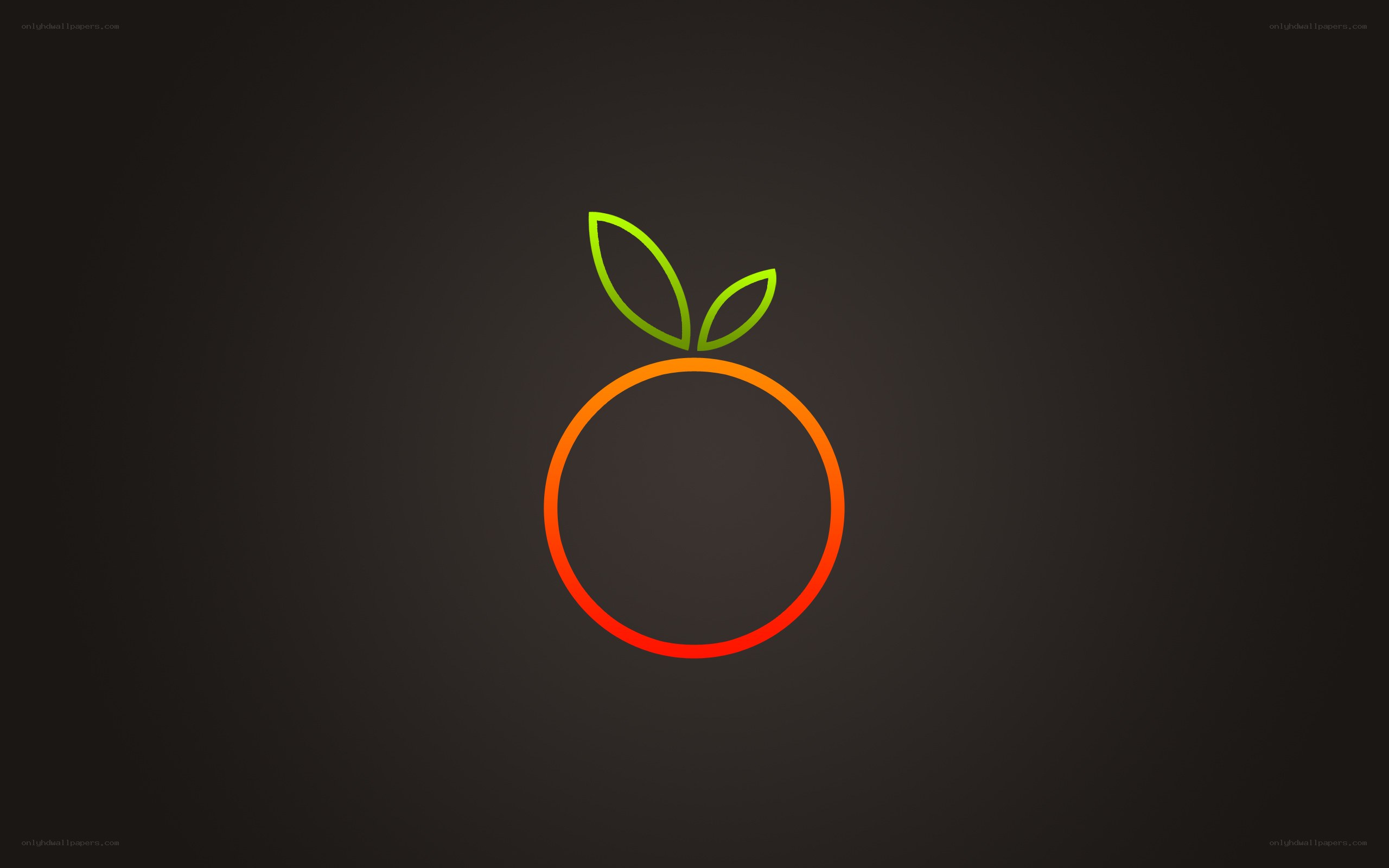 orange fruit icon