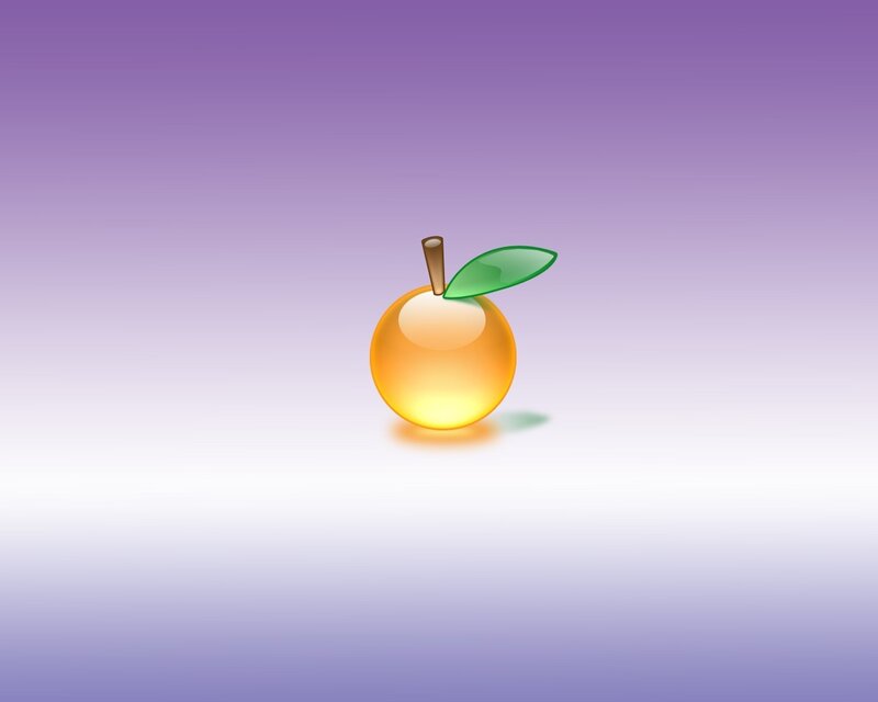 Orange Fruit with Leaf