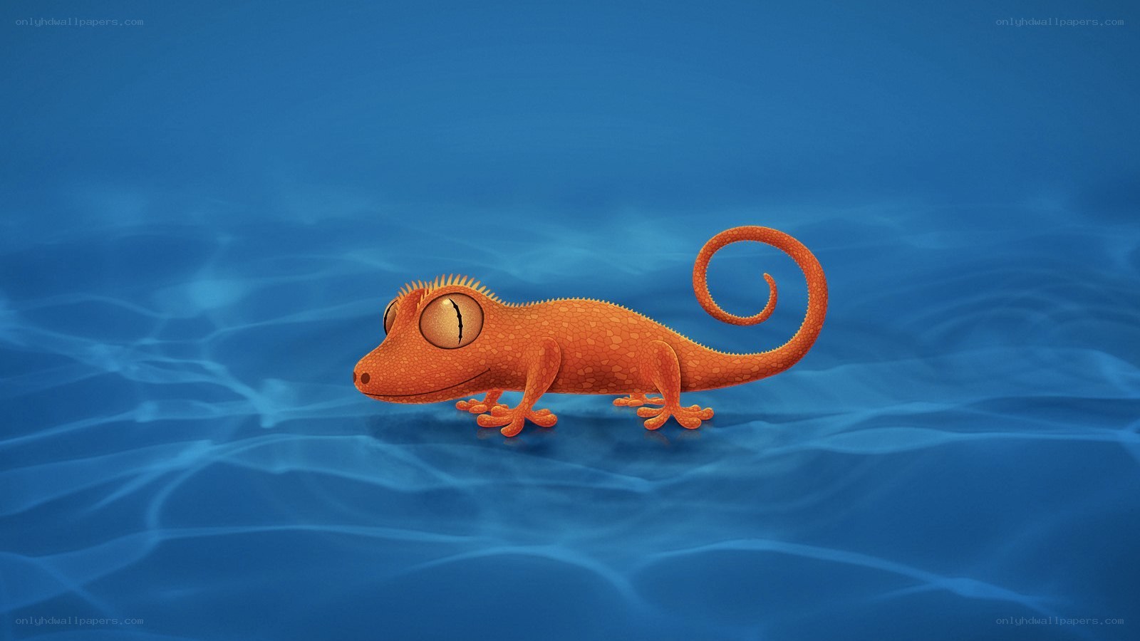 orange gecko underwater